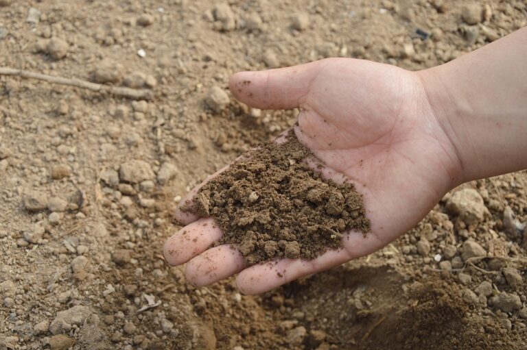Bearing Capacity of Soil